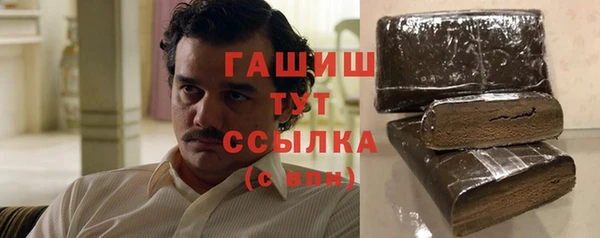 гашик Алексин