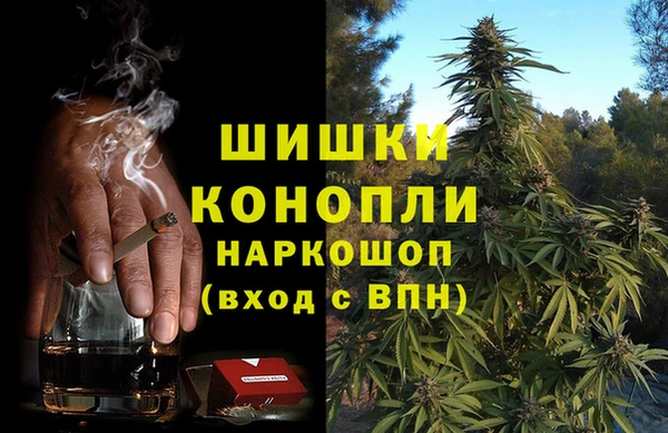 индика Алзамай