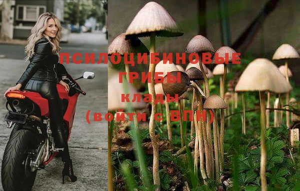 таблы Аркадак