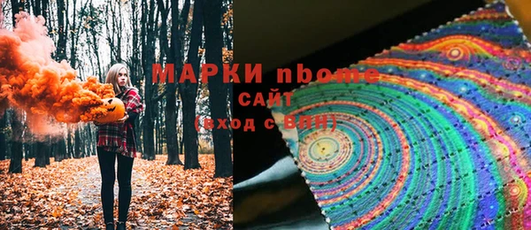 индика Алзамай