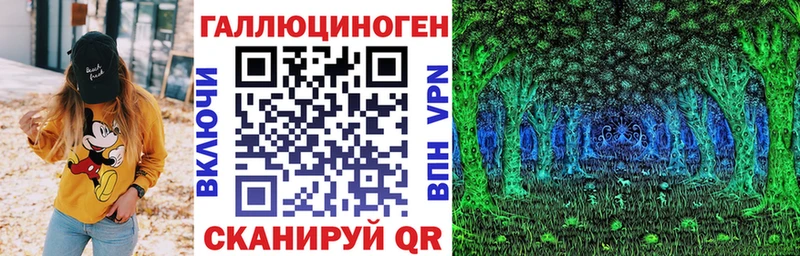 где найти   Светлоград  Галлюциногенные грибы Psilocybine cubensis 